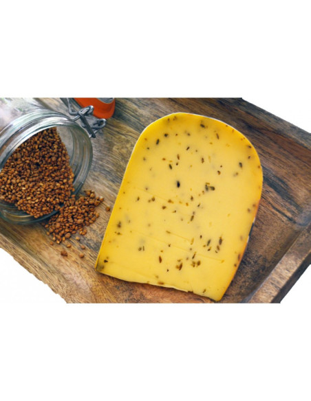 QUESO HOLANDÉS GOUDA COMINOS