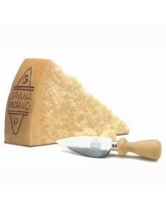 QUESO ITALIANO PARMESANO PADANO