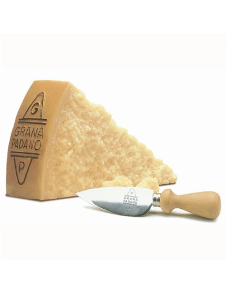QUESO ITALIANO PARMESANO PADANO
