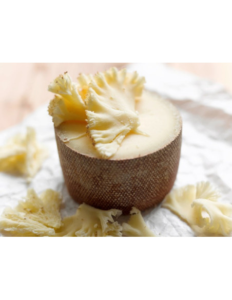 QUESO SUIZO TETE DE MOINE