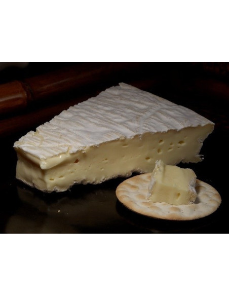 QUESO FRANCÉS BRIE