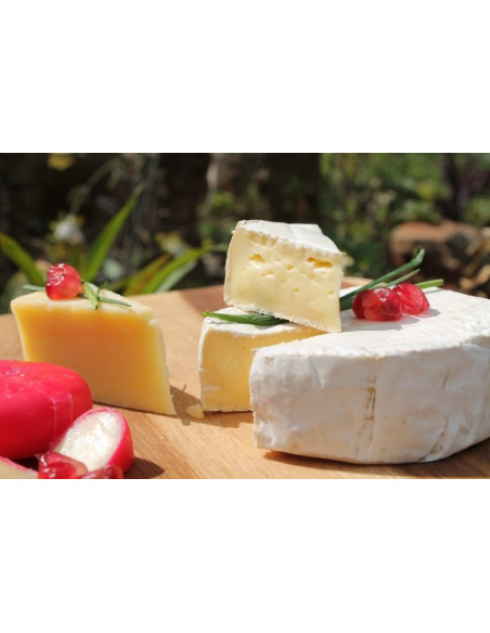 QUESO FRANCÉS CAMEMBERT